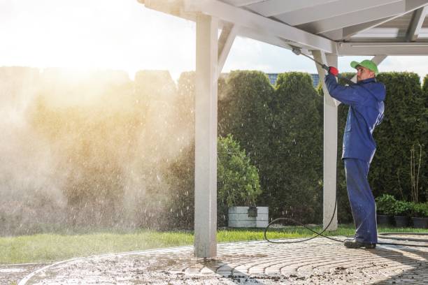 Best Driveway Pressure Washing  in Pine Valley, CA