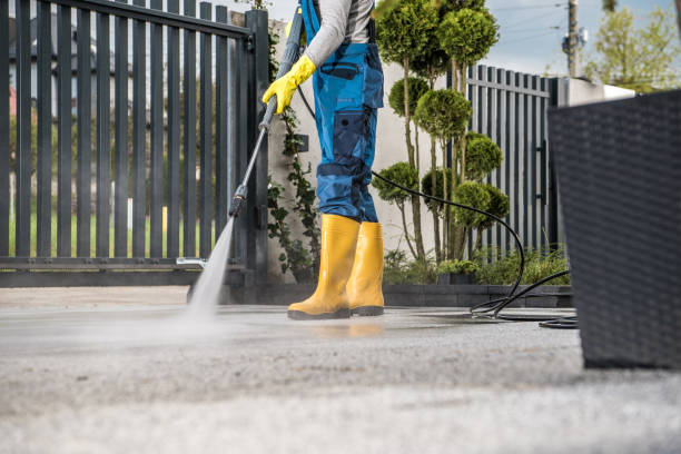 Best Building Exterior Washing  in Pine Valley, CA